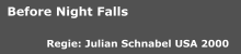 Julian Schnabel: Before Night Falls