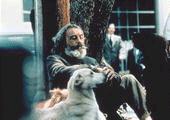 Inarritu: Amores Perros