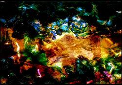 Brakhage