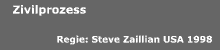 Zivilprozess